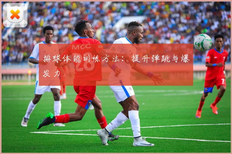 排球体能训练方法：提升弹跳与爆发力