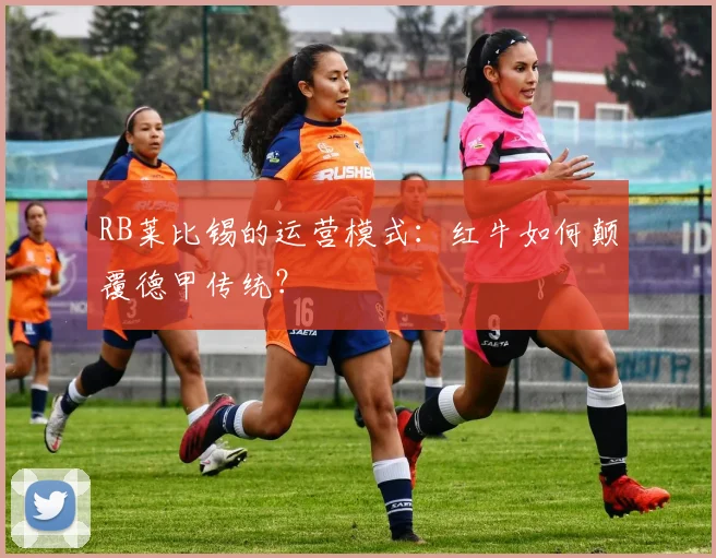 RB莱比锡的运营模式:红牛如何颠覆德甲传统?