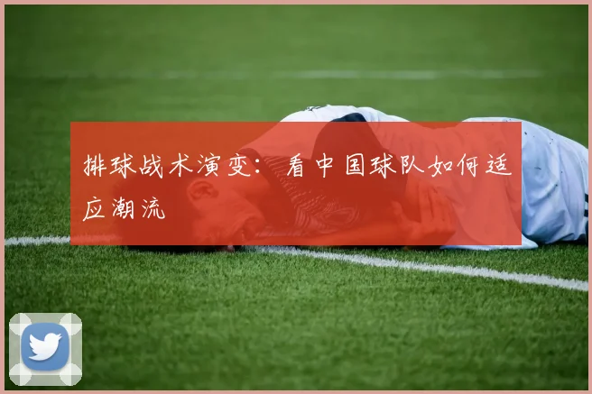 排球战术演变：看中国球队如何适应潮流